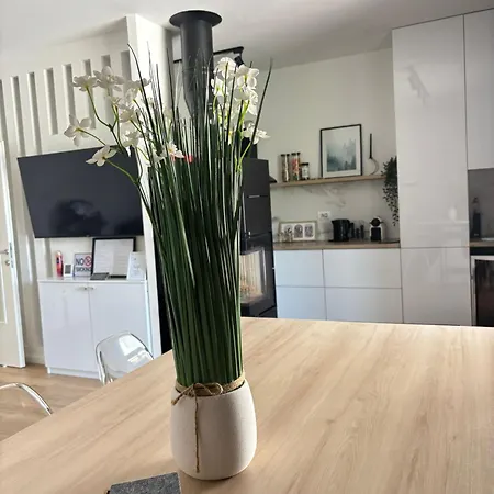 וילה Stone House Debeljaci